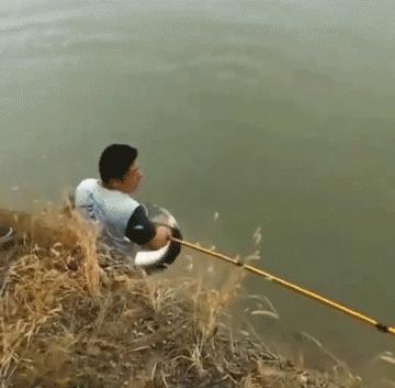 开心一刻｜有人接单吗？接一下我的孤单