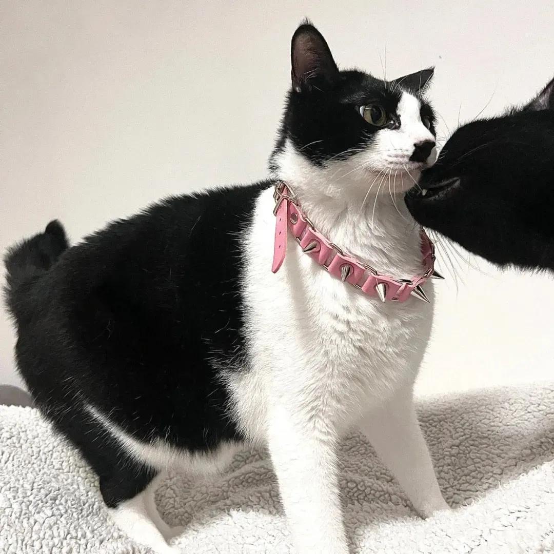 可爱的动漫情侣头像,情侣头像可爱小盆友