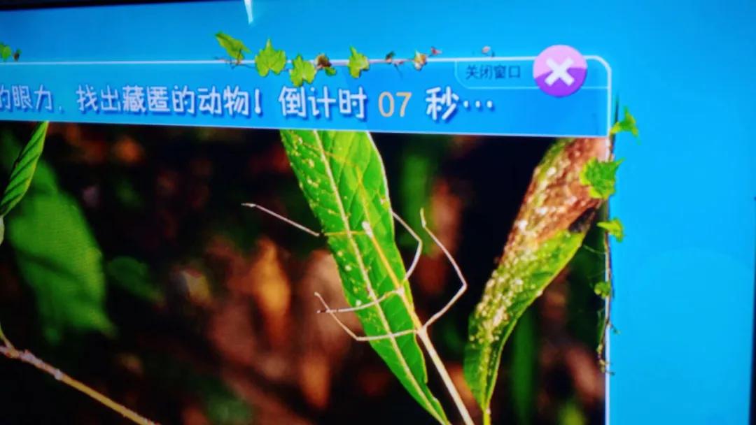 伊春市科技馆五一开么,伊春新区科技馆