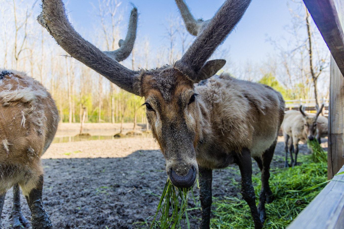 春日下江南杭州,泰州一日游攻略美食