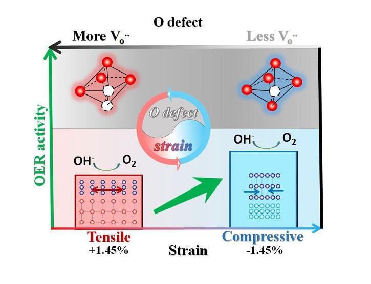 壳聚糖复合物的功效,壳聚糖复合物功效