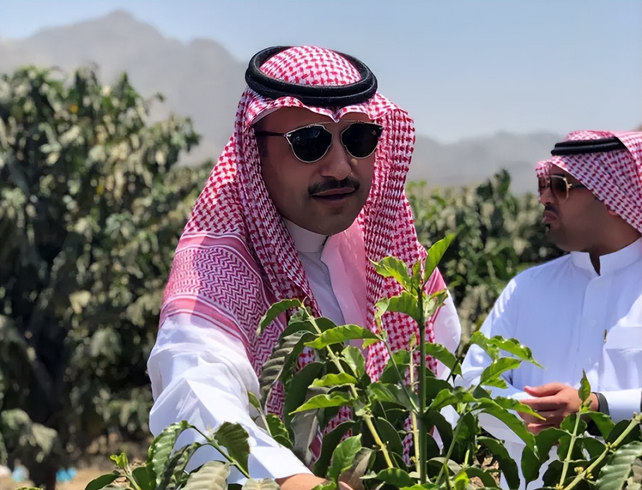 娌欑壒鍏ュ绂佷护,娌欑壒绂佹鍑哄彛鐭虫补