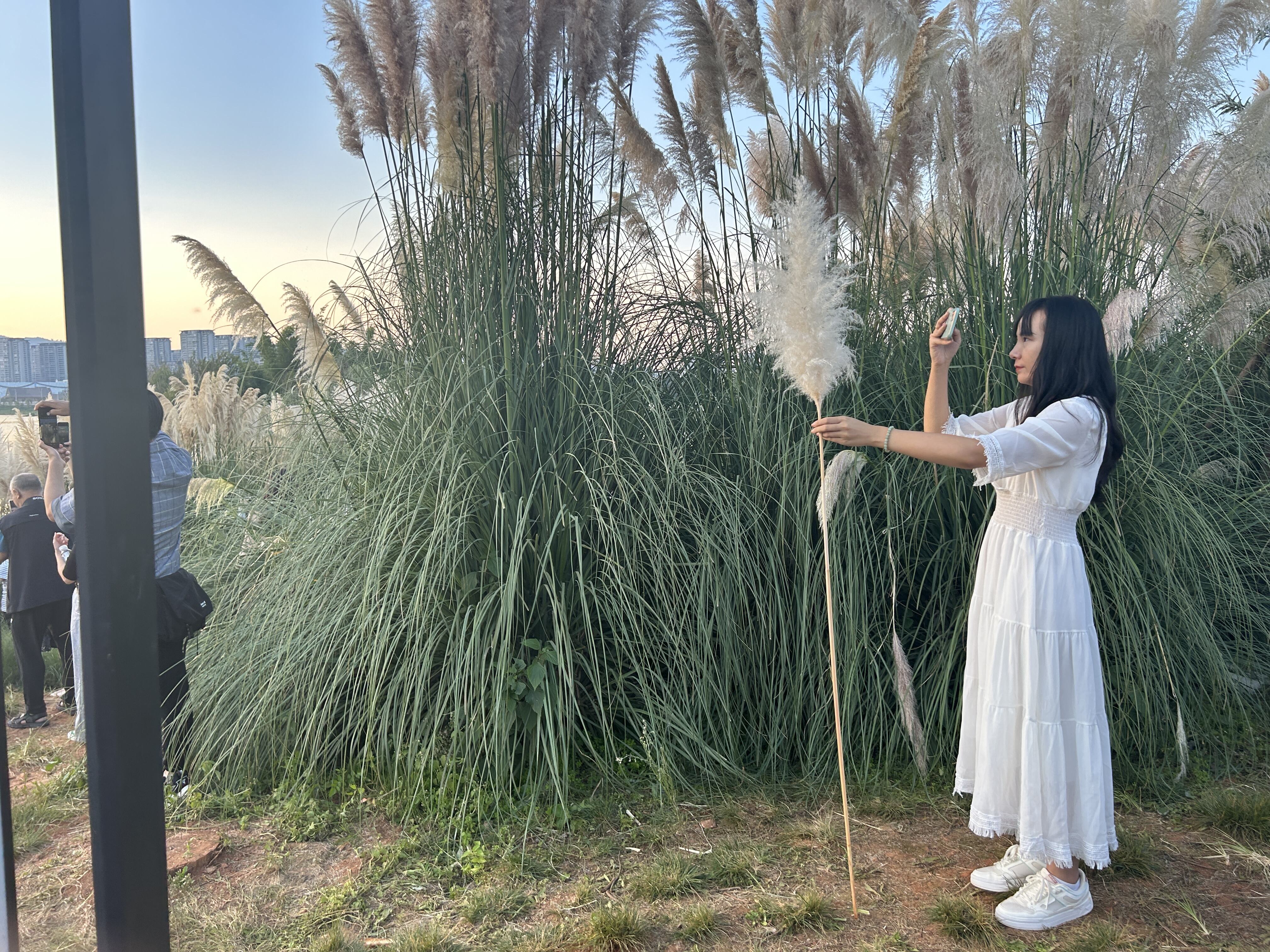 曝光台践踏草坪,不文明曝光台踩踏草坪