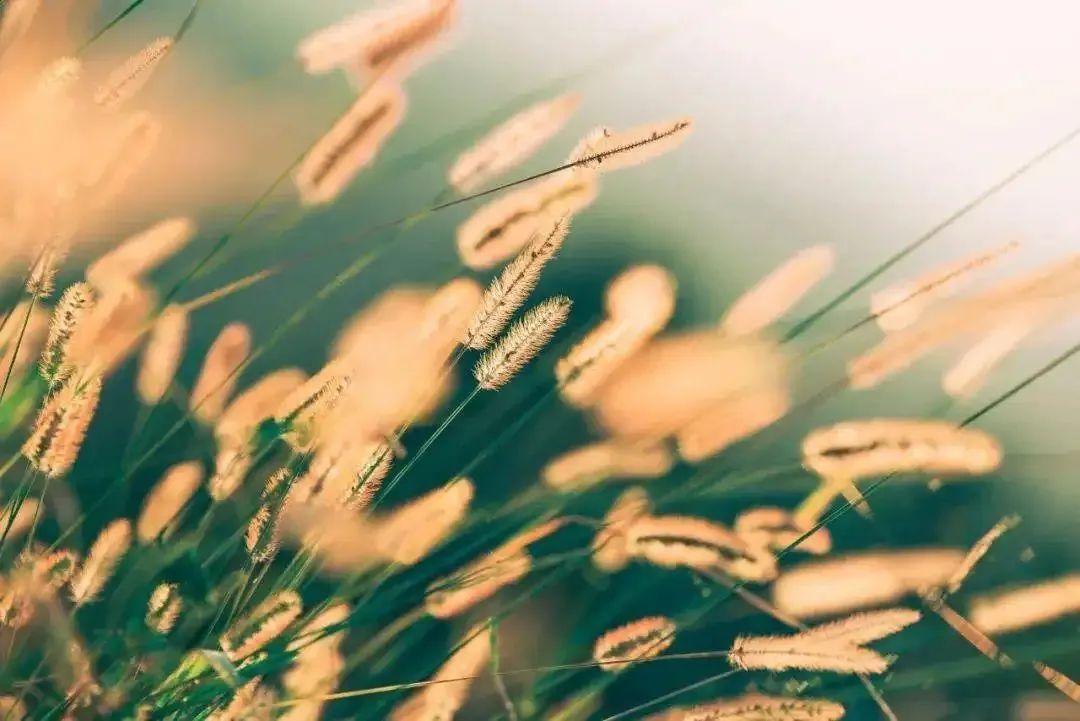 抗癌新药最新消息,抗癌新药价格表