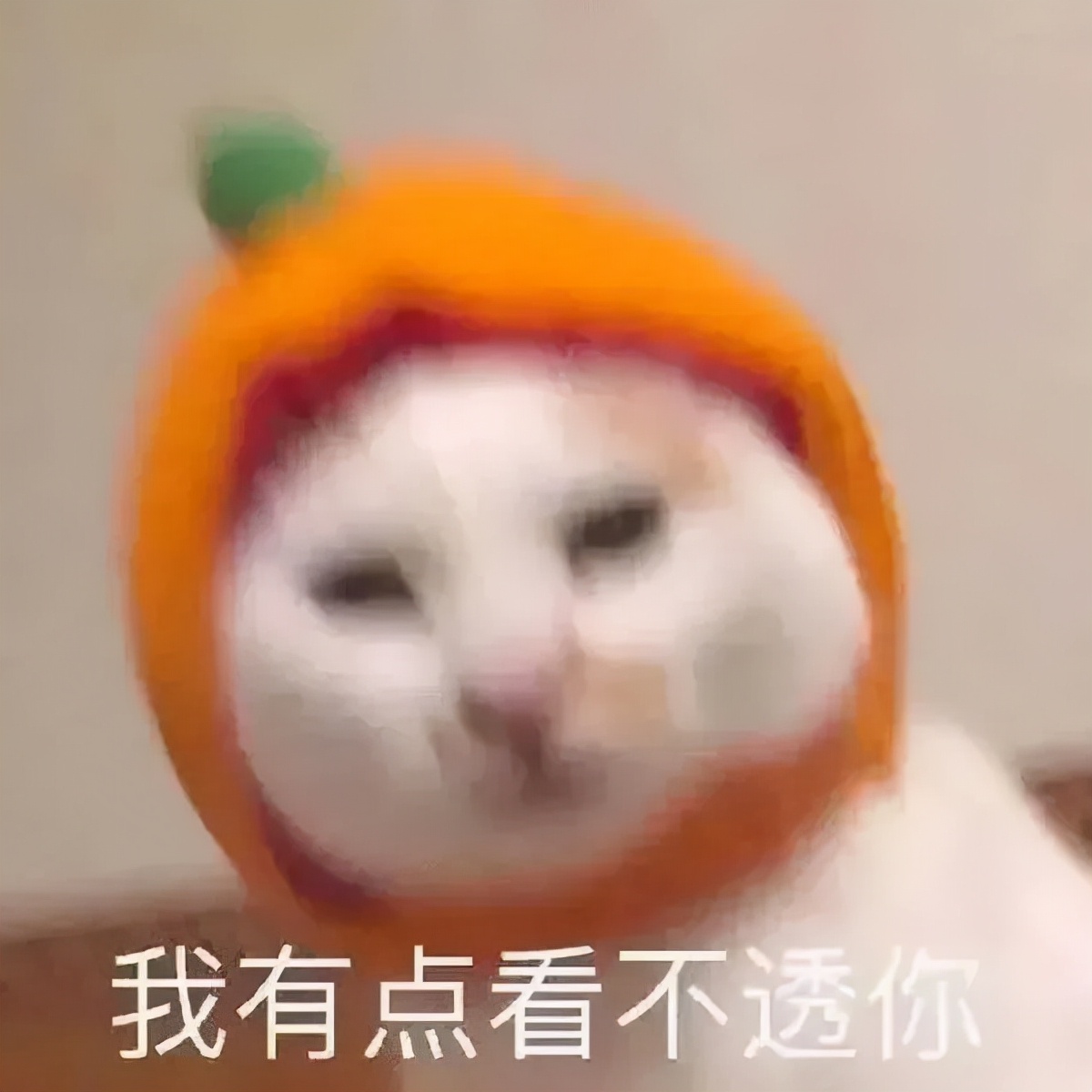 解读蔡康永的说话之道,蔡康永高情商说话技巧