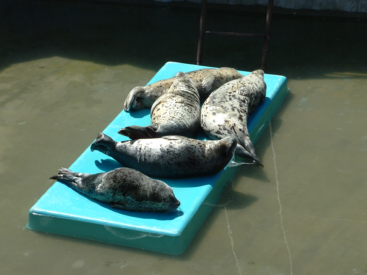 涓滄捣鍏洯澶ц繛,澶ц繛涓滄捣鍏洯