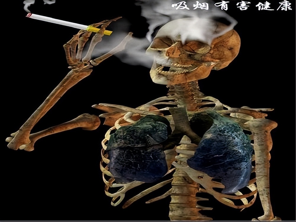 去日本买软中华香烟价格,免税烟硬中华多少钱一条