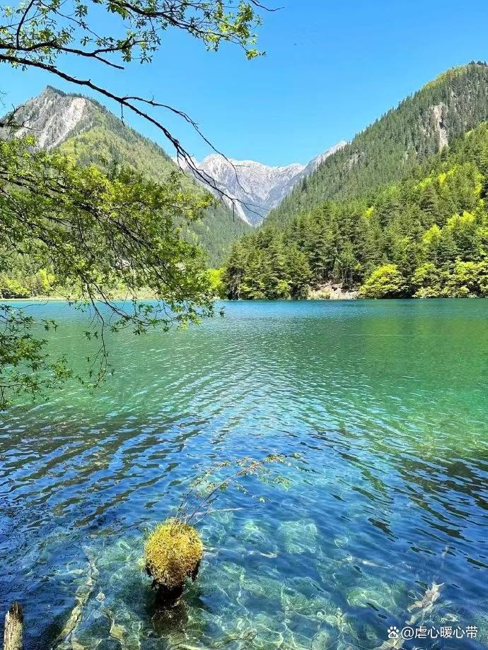 去九寨沟的旅游攻略自由行,去九寨沟玩应该怎么规划