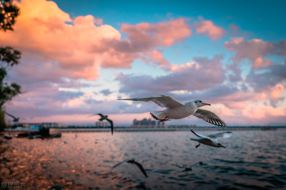 昆明澳城大厦筒子楼网红打卡地址,昆明粉色沙滩网红打卡地在哪里