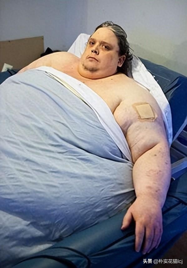 精子受孕未成功后去哪了,没有成功受孕的精子都去哪里了