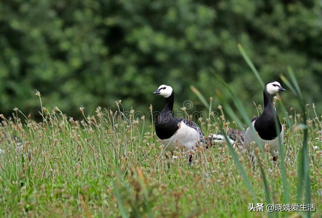 女方陪嫁的房子上了女方的名字,女方陪嫁车写女儿的名字过分吗