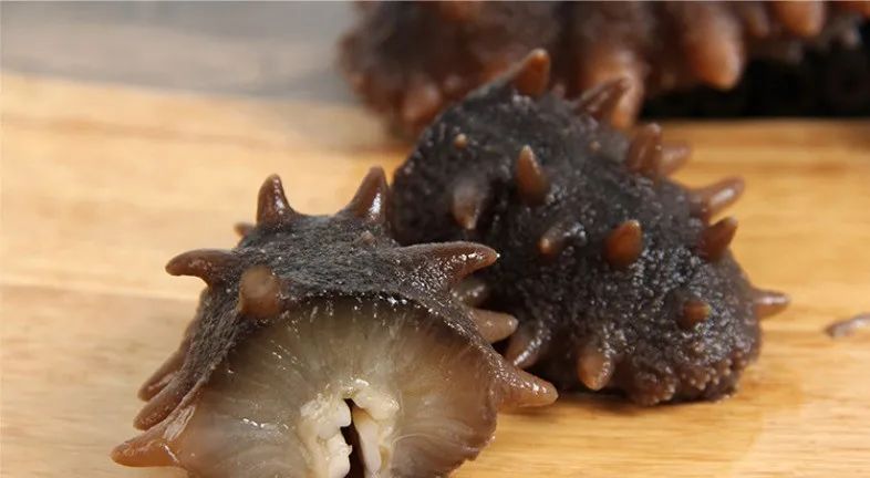 灞变笢娴峰弬鍜屽ぇ杩炴捣鍙傜殑鍖哄埆,濞佹捣娴峰弬鍜屽ぇ杩炴捣鍙傜殑鍖哄埆