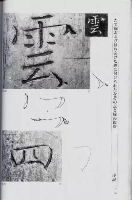 宸ョ瑪鐢绘潹鏅箟鐢诲唽,鏉滈箖鏉ㄦ櫘涔夊畬鏁寸増