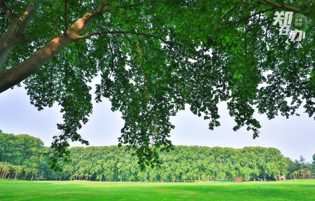 收藏好!暖春三月郑州春游地图!趁这个时候赶紧出游吧