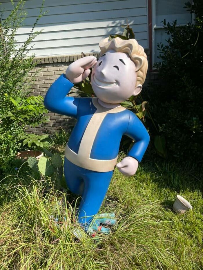 网友在旧货店买到各种物品,网友们在旧货店发现的各种宝贝