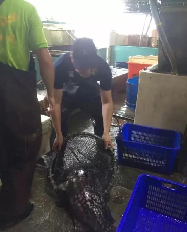 鱼类食材大全名称图片,鱼类菜谱大全100种