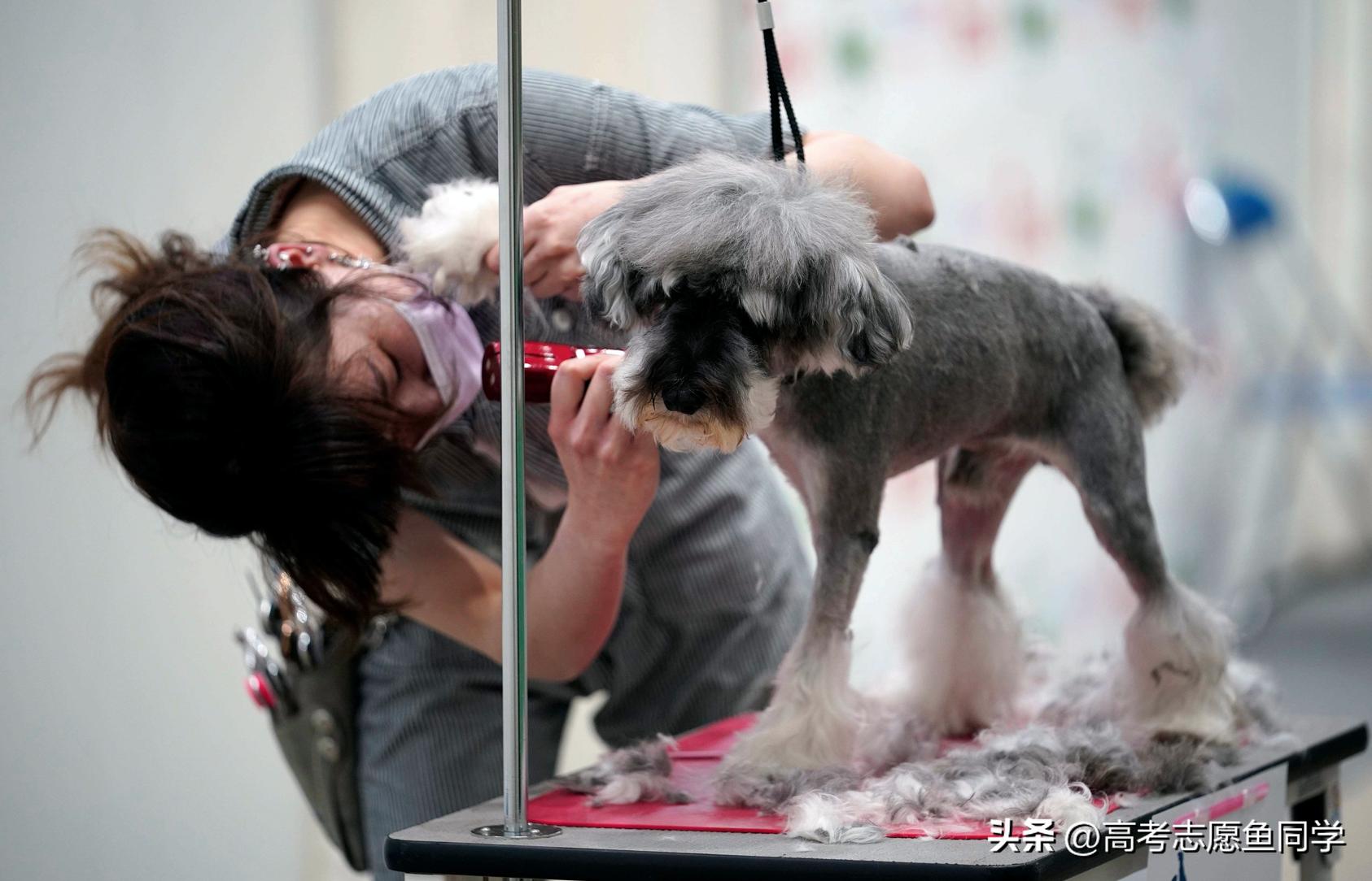 女孩子适合学的技术初中没毕业,适合女孩子学的技能且工资高