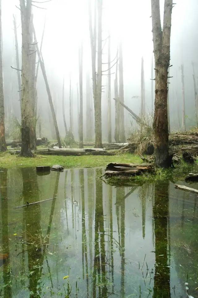 刚试了一下中华文字果然博大精深,涨知识了快来看看中国文字的魅力