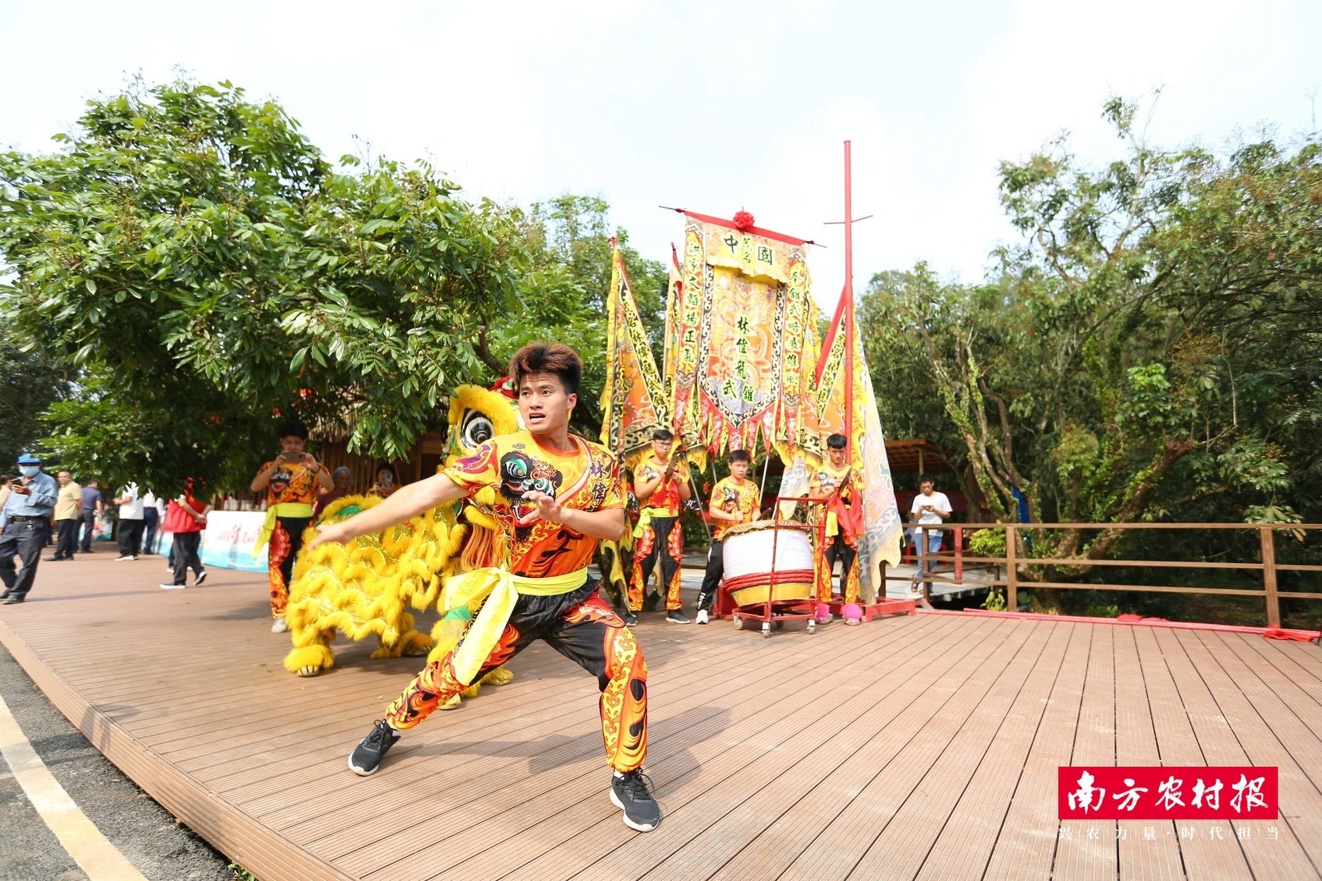 单日成交9500单，卖出4.7万斤！茂南直播助“荔”走向全国