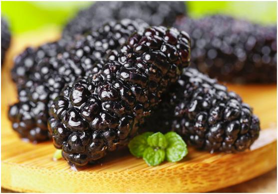 冬至吃什么水果养生好,冬至养生少不了的进补食物