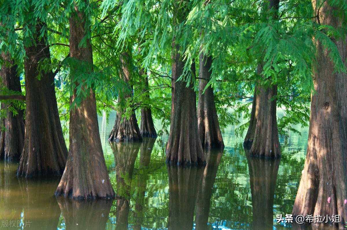 广州最值得去的景点旅游攻略,旅游攻略广州必去的六大景点