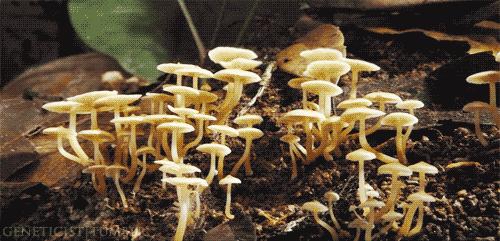 搭建乡村振兴产业平台,打造特色乡村促农民增收