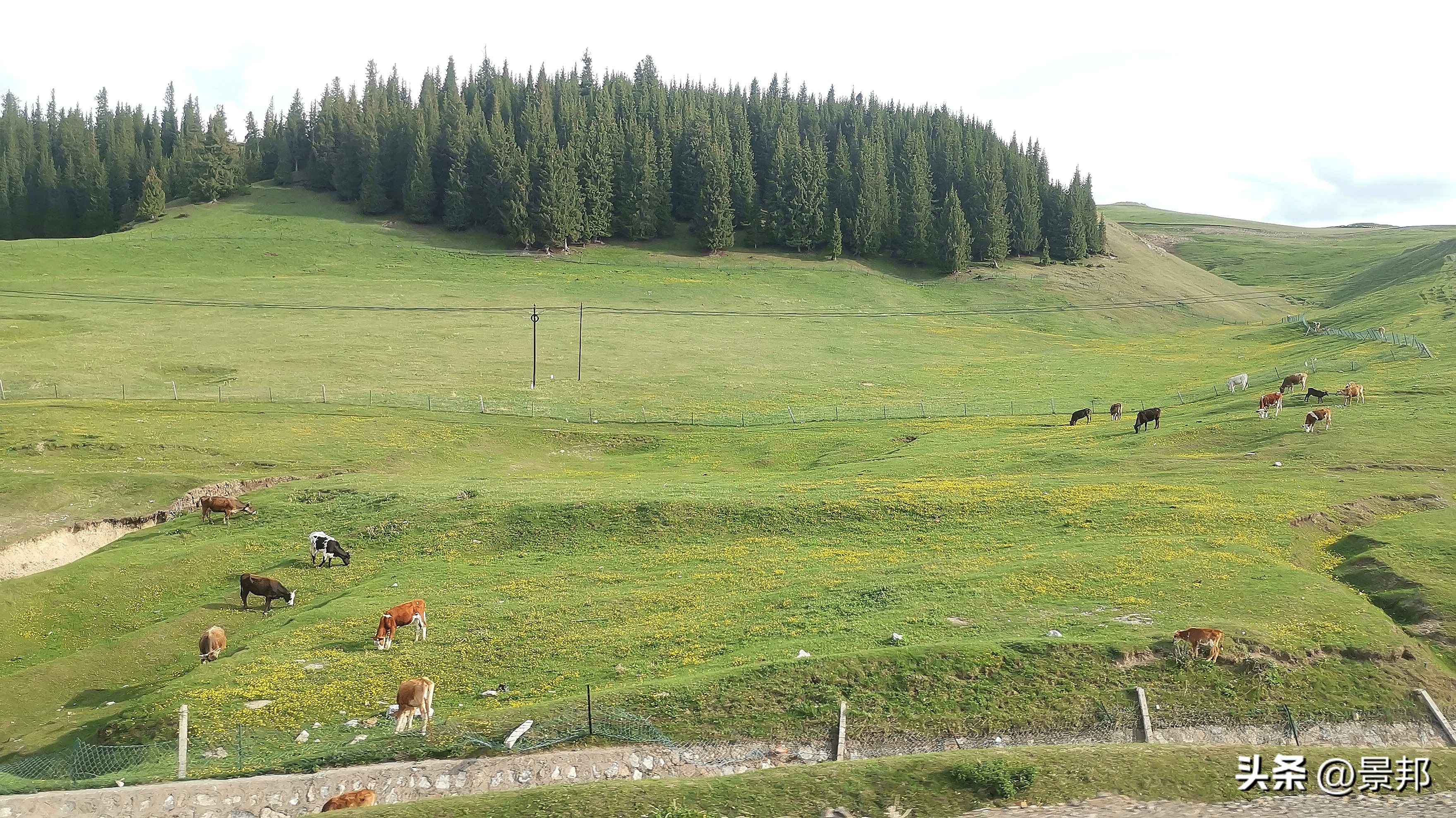 北疆之旅,北疆旅游一日游
