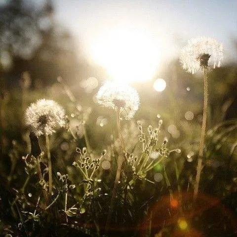 到底该怎么活,到底该怎么活啊