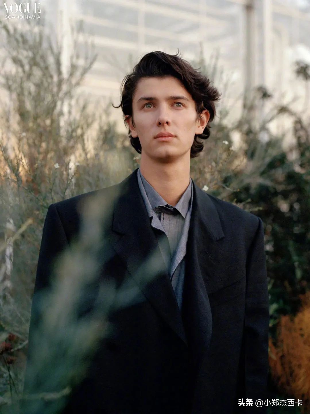 即使没整容也完全大变样的女明星,坚决不整容的10位女明星