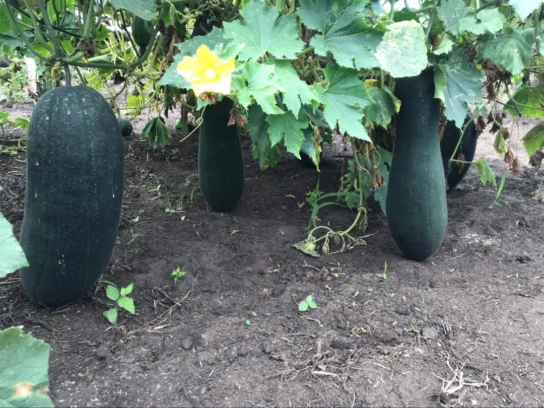 老汤创业,老汤生活记录