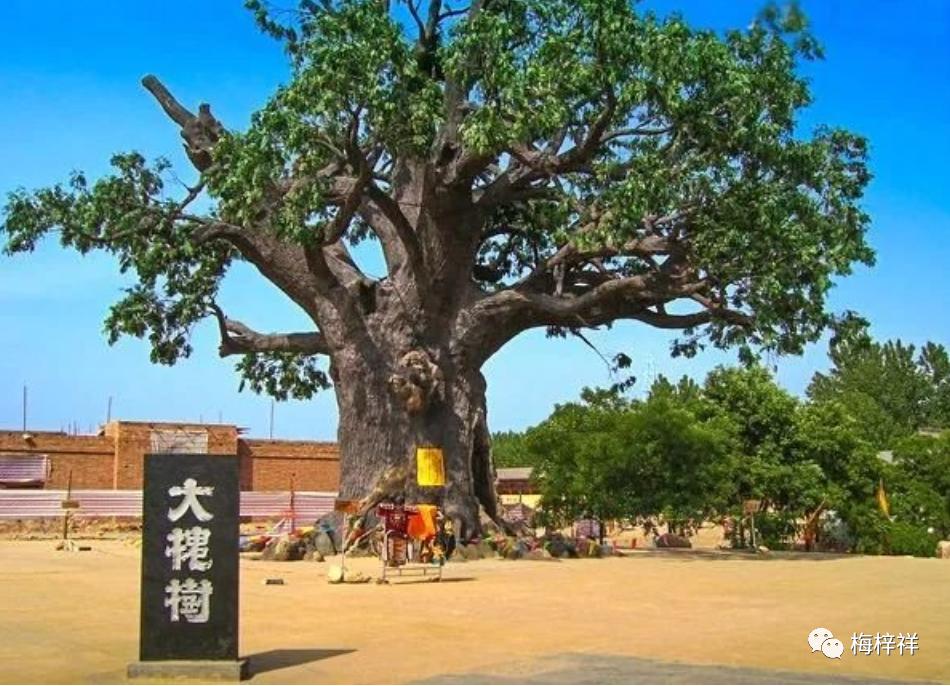 铁道兵梅梓祥照片,铁道兵纪实文章