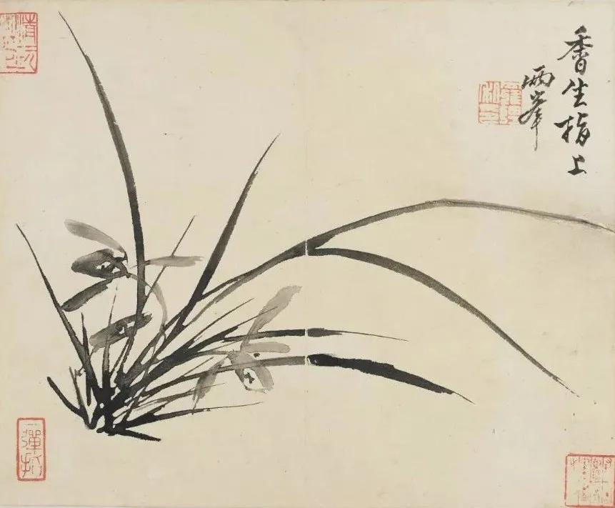 清代九大名家花鸟册页欣赏,清朝九大名家花鸟山水图