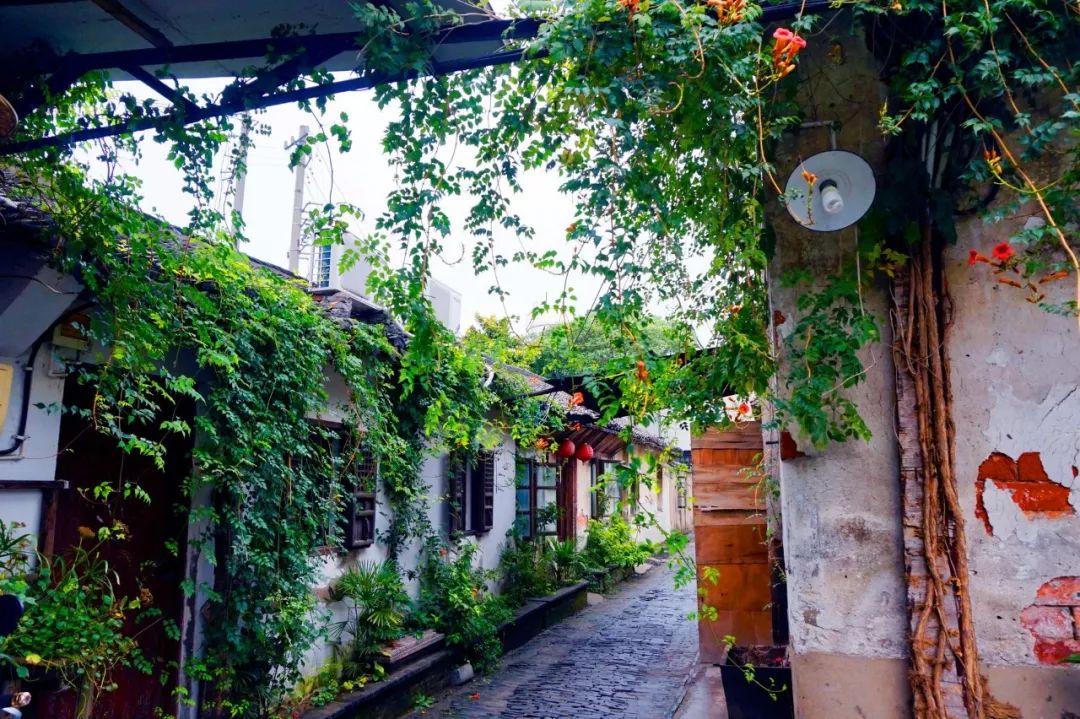 你几月出生就是什么命太准了,几月生是水命人