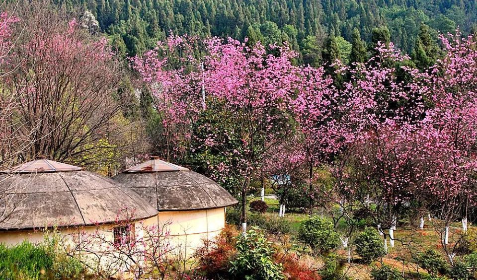 昆明清明节旅游攻略一日游路线,清明昆明周边有什么玩的