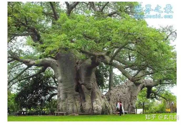 山海经2012白话全译彩图版pdf,山海经海外西经是指哪里