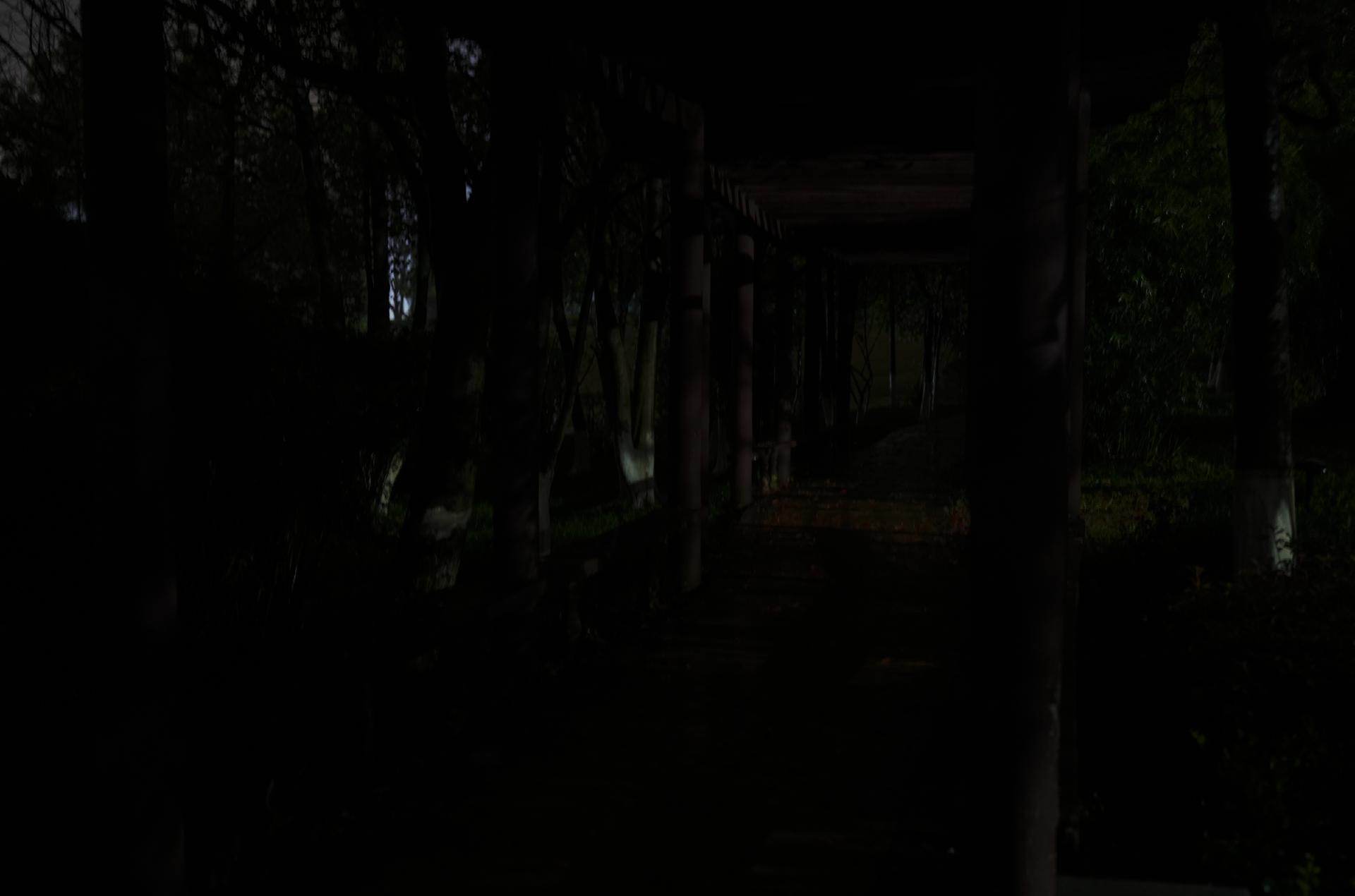 傲雷最好的手电是哪一款,傲雷最值得购买的手电筒