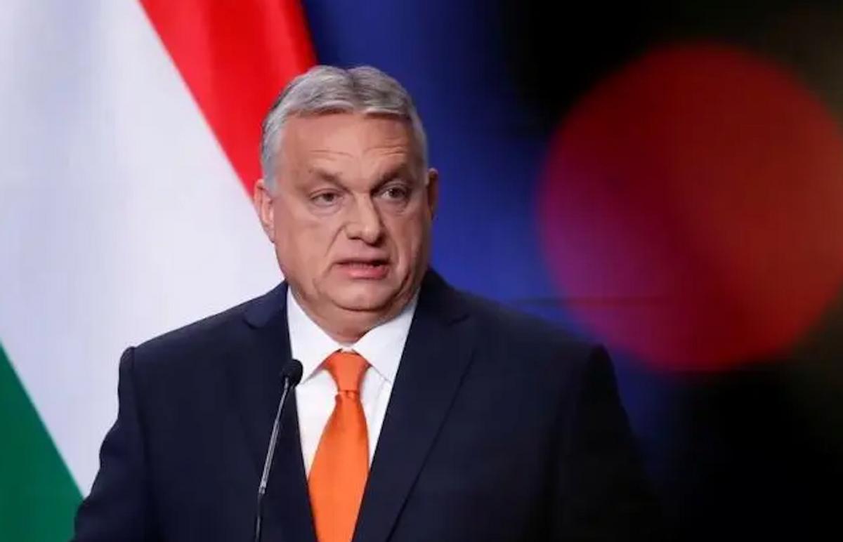 煮熟的鸭子飞了新闻,煮熟的鸭子飞了视频