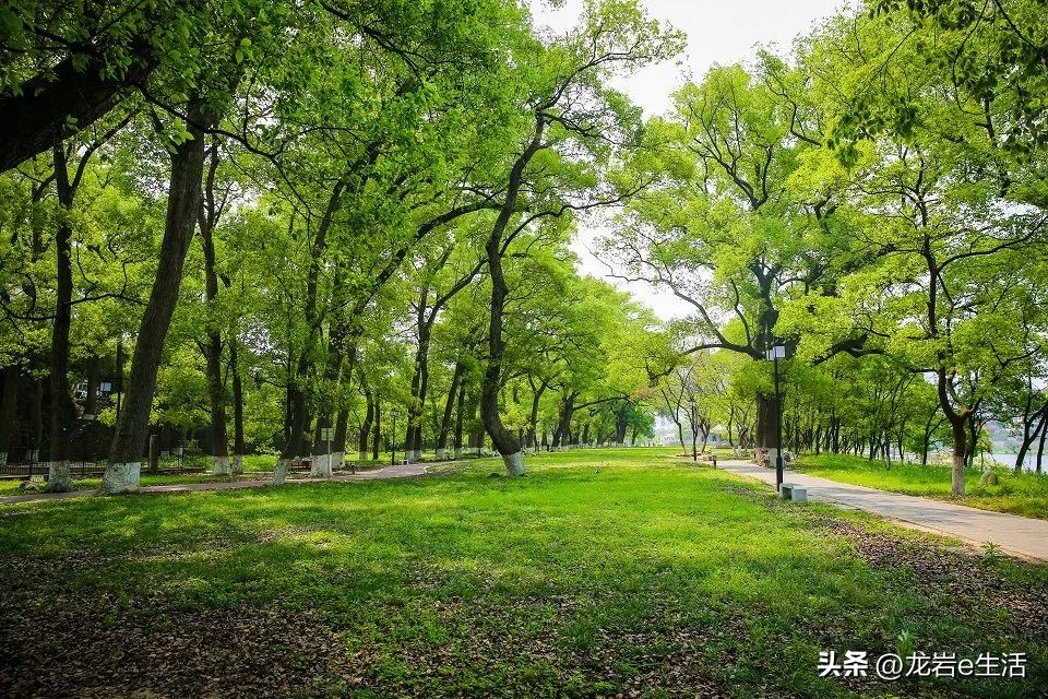 夏天龙岩哪里凉快适合避暑,龙岩新罗区有哪些避暑的好地方
