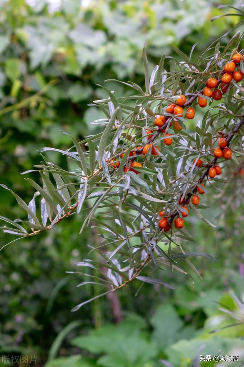从底层开始小说,底层生活小说全集