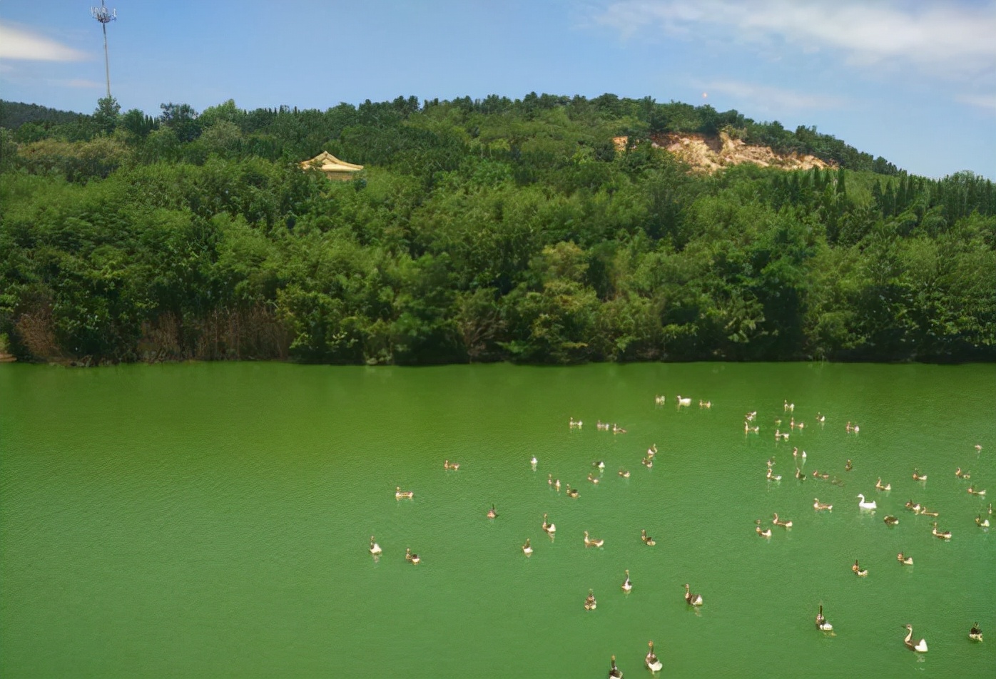 青岛十大热门景点,青岛市内旅游十大必去景点