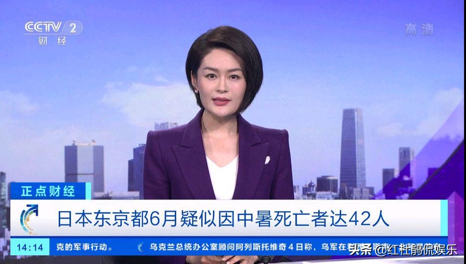 财经频道主持人海同简介,央视主持人海桐简历