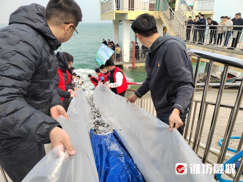 5亿尾鱼苗入水,25万尾鱼苗放黄河