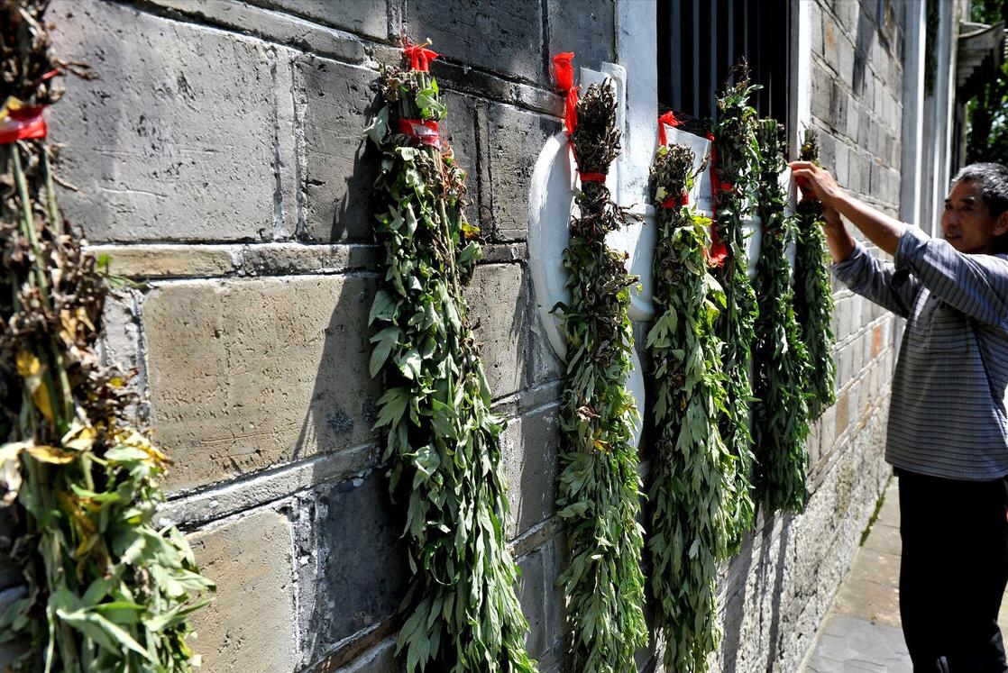 端午挂艾草单数还是双数,端午挂菖蒲艾草有什么讲究