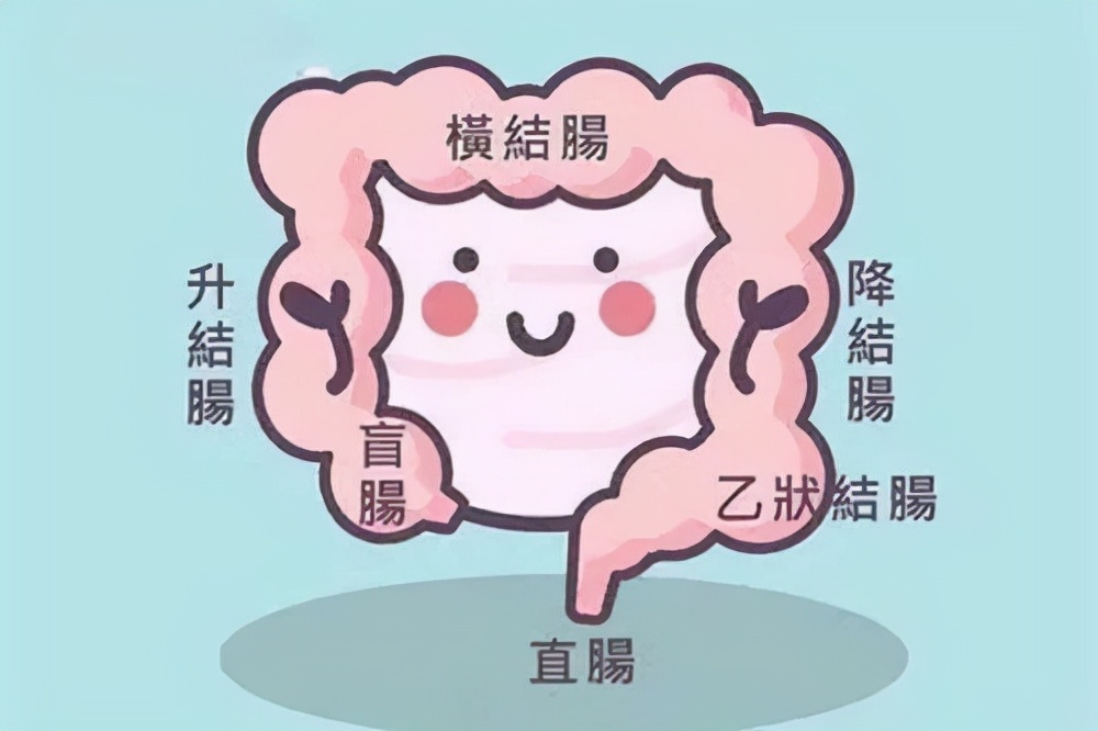 如何区分痔疮出血与直肠癌出血,直肠癌便血与痔疮便血的区分