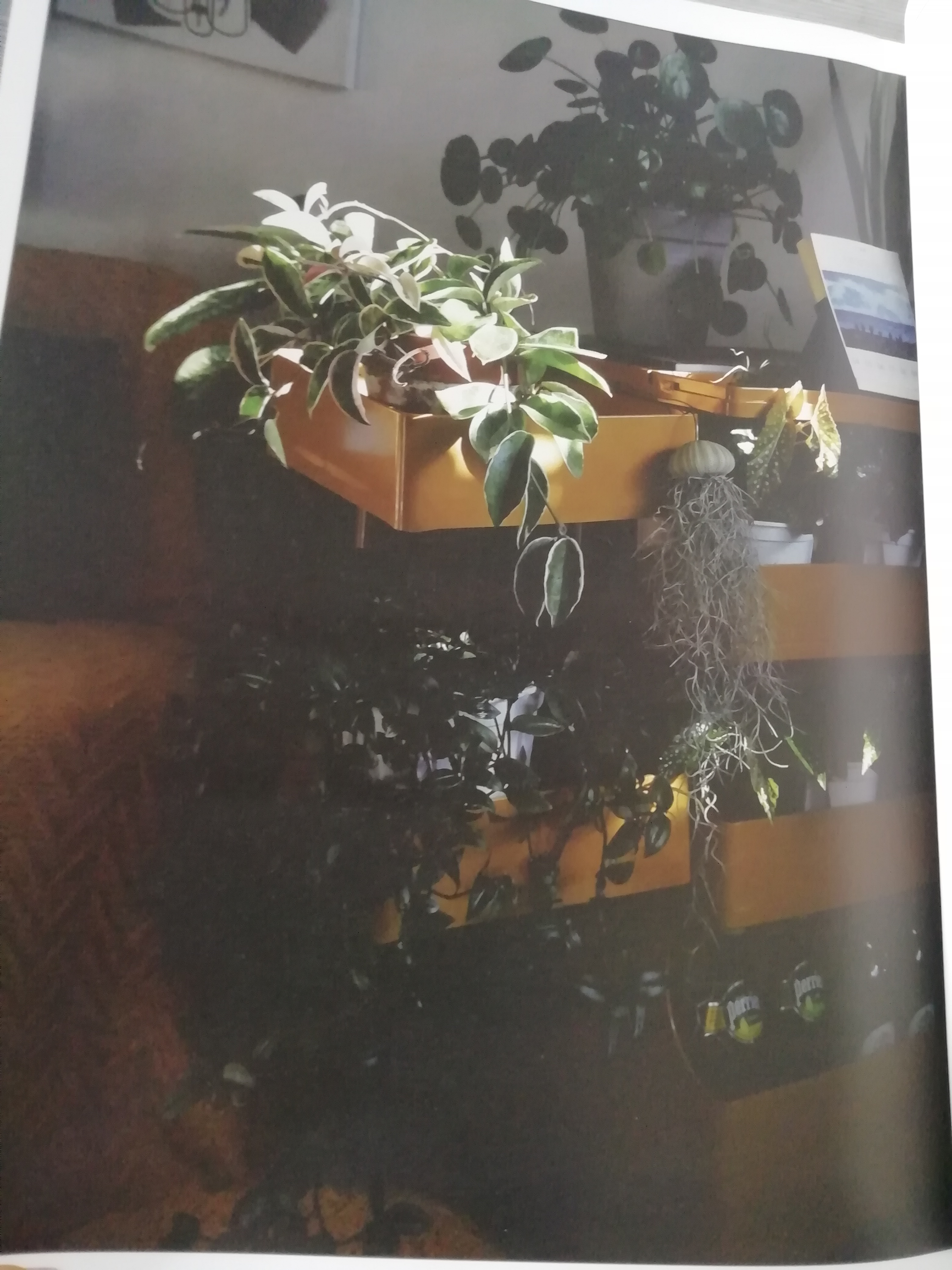 你真的了解你自己吗文案,你真的了解你自己吗音乐