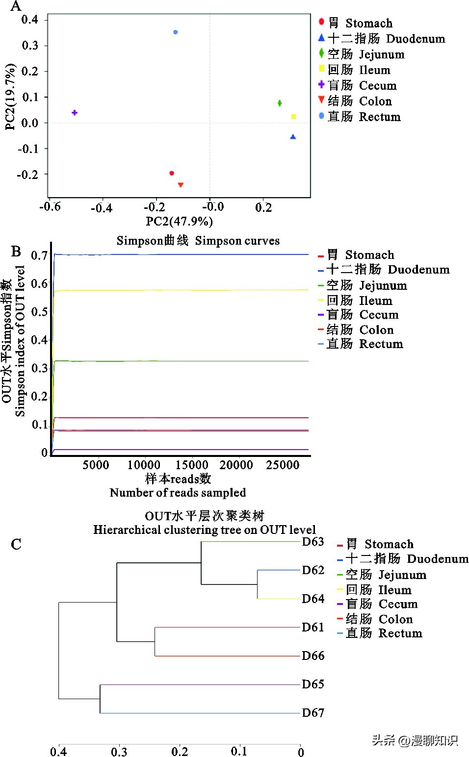 Sprague-Dawley大鼠是什么？关于它胃肠道微生物区系的研究