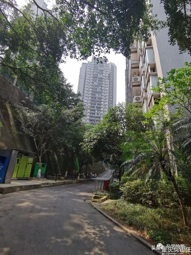 陪读房三室两厅一卫租金1300,潍坊一中附近陪读租房租金多少