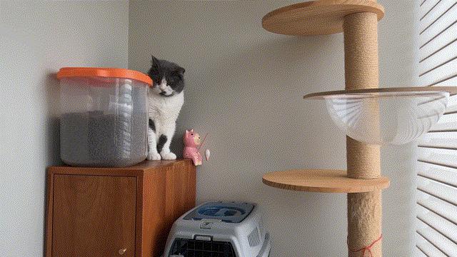 80平米情侣装修婚房,60-80平婚房装修