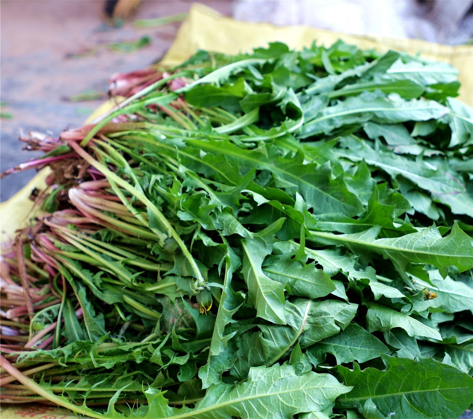 今日春分注意点啥,春分忌日习俗什么时候开始的