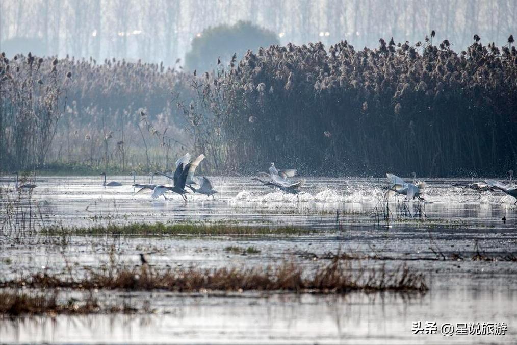 江苏新增8家4a级旅游景区有哪些,2020江苏人气最旺景区是哪里